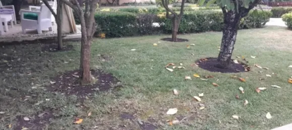 3 bedrooms House in Sintra, Portugal No. 146894 24