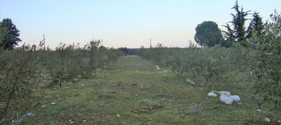 Hôtel à Litochoro, Greece 4300m² No. 6454 2