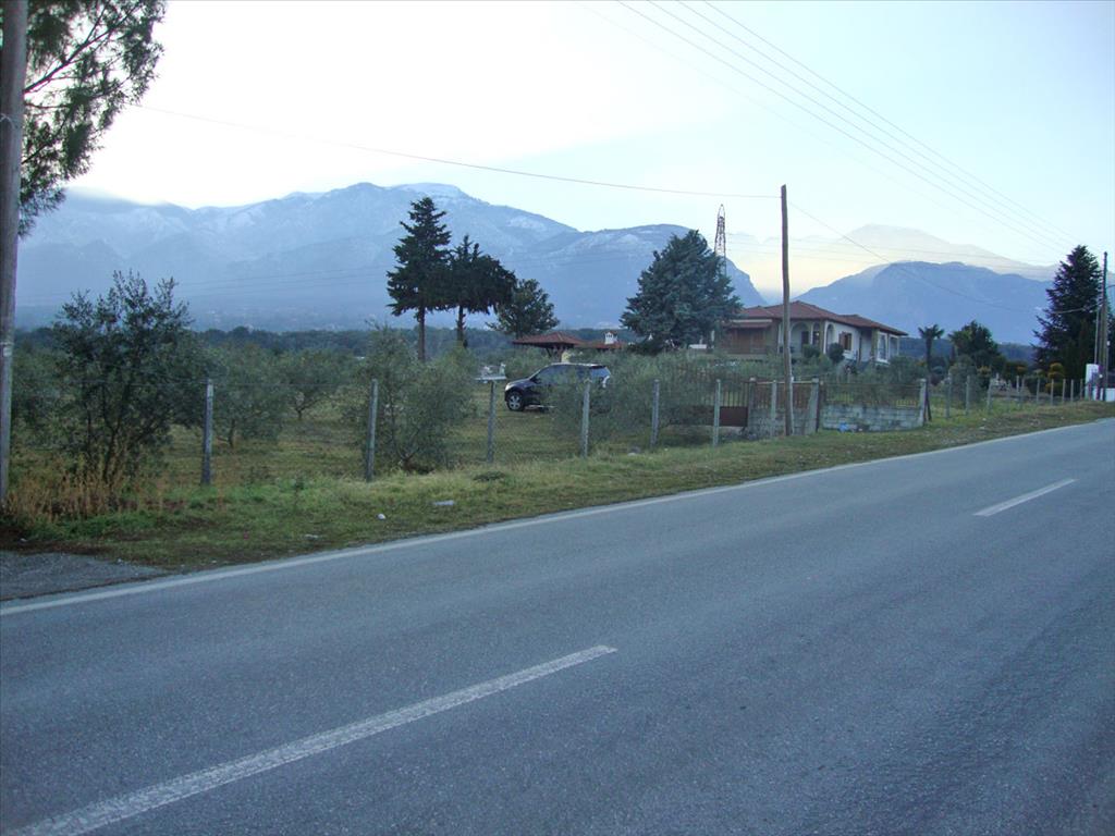Hotel em Litochoro, Greece 4300 m² N.º 6454