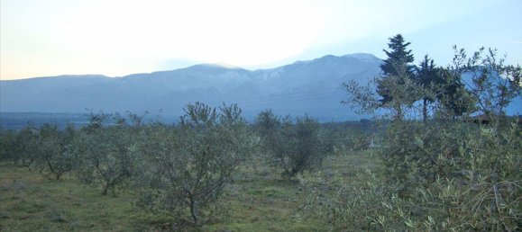 Hôtel à Litochoro, Greece 4300m² No. 6454 3