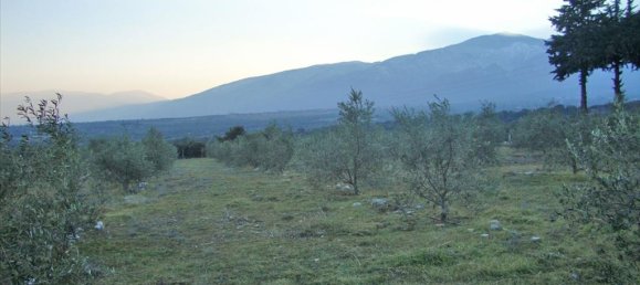 Hôtel à Litochoro, Greece 4300m² No. 6454 4