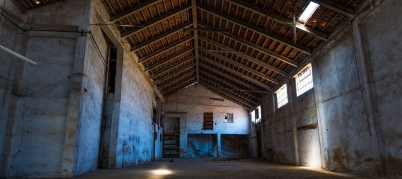 Земельный участок 7315м² в Монтижу, Португалия № 106556 10