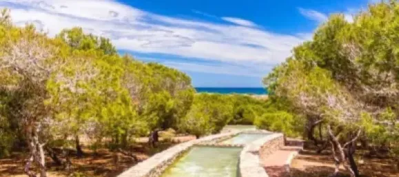 2 غرف نوم شقة في Torrevieja, Spain رقم 134100 44