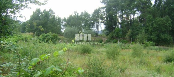 Terreno en Marco de Canaveses, Portugal 440 m² No. 56834 3
