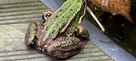 5 rooms Townhouse in Osterholz, Germany No. 278865 8