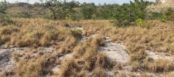 Land for sale in Liberia, Guanacaste, Costa Rica № 1700 5