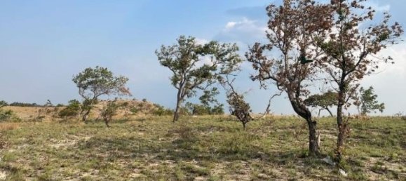 Land for sale in Liberia, Guanacaste, Costa Rica № 1700 2