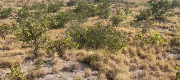 Land for sale in Liberia, Guanacaste, Costa Rica № 1700 4