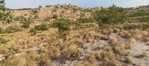 Land for sale in Liberia, Guanacaste, Costa Rica № 1700 3