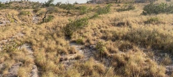 Land for sale in Liberia, Guanacaste, Costa Rica № 1700 6