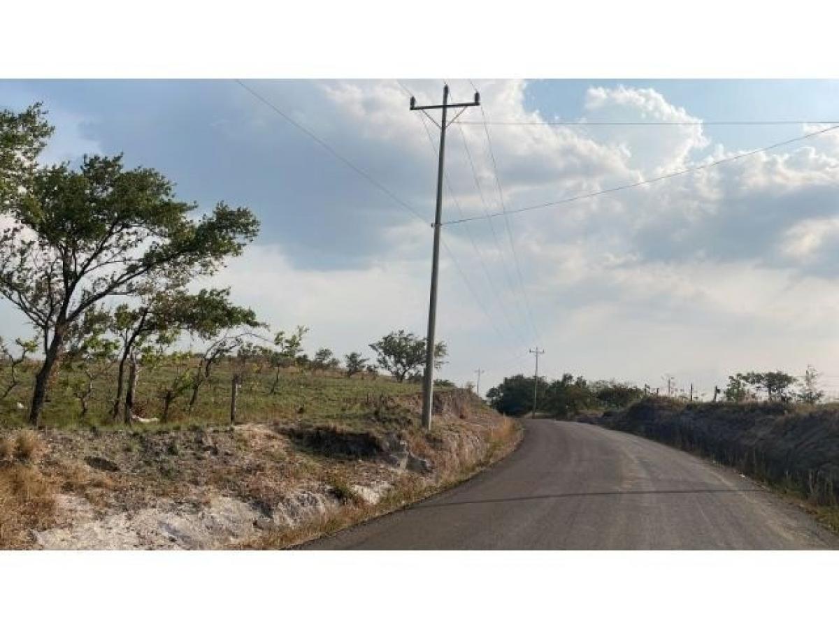 Land for sale in Liberia, Guanacaste, Costa Rica № 1700
