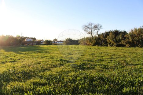 3000m² Land in Arazede, Portugal No. 90612