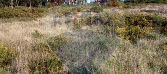 40120m² Land in Sintra, Portugal No. 58363 2