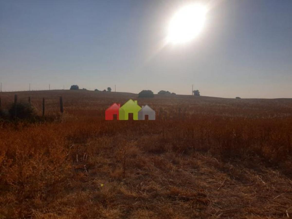  Land in Beja, Portugal No. 2157