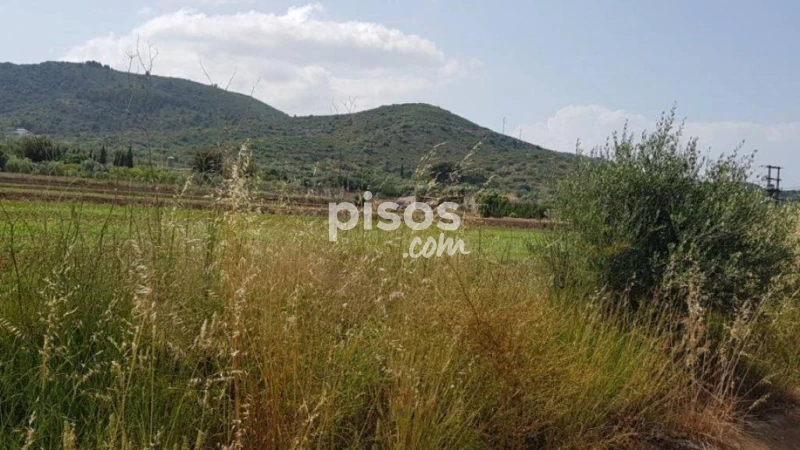 Grundstück in Sant Carles De La Rapita, Spain 14442m², Nr. 144784