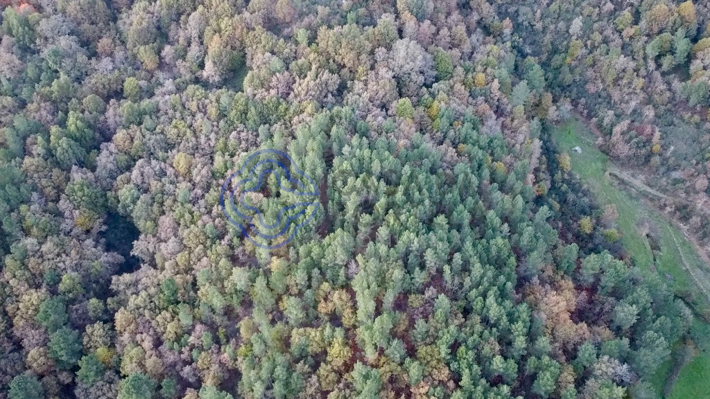 28570m² Land in Baiao, Portugal No. 36133