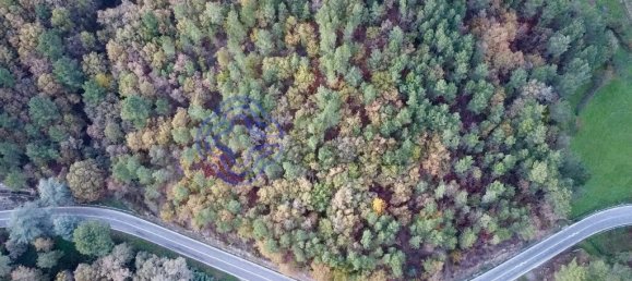 28570m² Land in Baiao, Portugal No. 36133 2