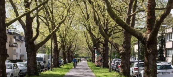 Ático de 2 dormitorios en Cologne, Germany No. 186546 11