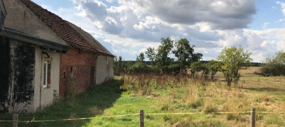 Casa de 1 dormitorio en Brandenburg, Germany No. 20412 8