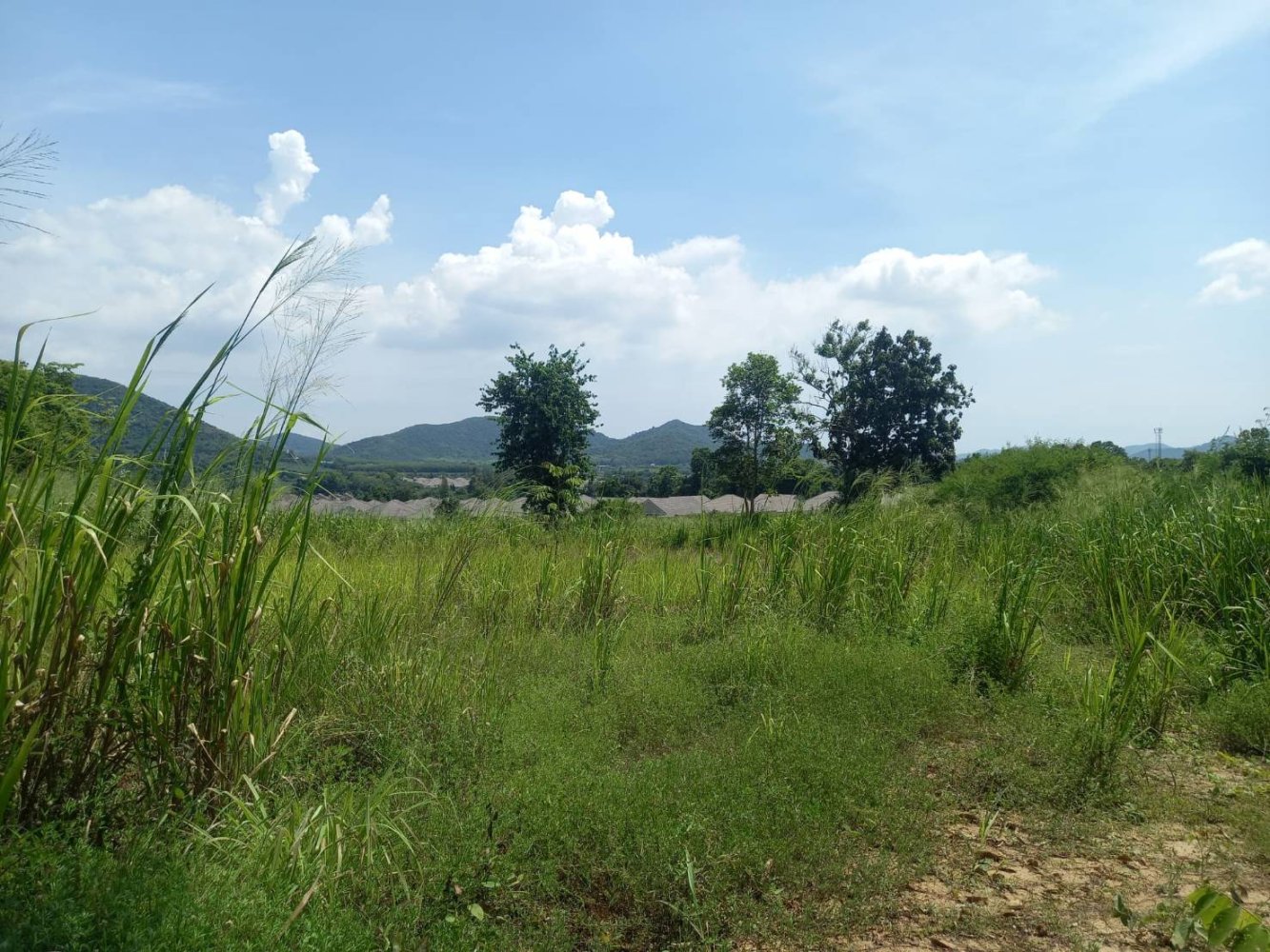  Commercial property in Bang Sare, Thailand No. 9330