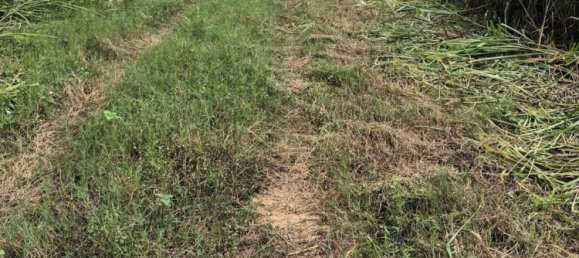  Commercial property in Bang Sare, Thailand No. 9330 2