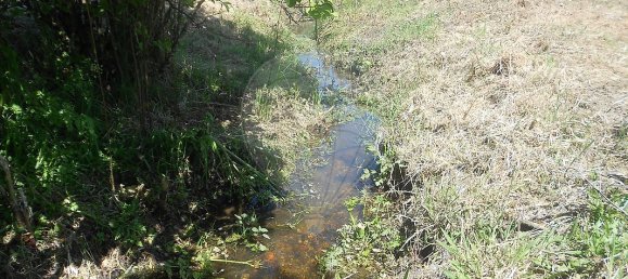 3 Schlafzimmer Haus in Abrantes, Portugal, Nr. 26329 9