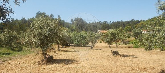 3 Schlafzimmer Haus in Abrantes, Portugal, Nr. 26329 7