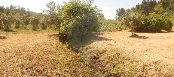 3 Schlafzimmer Haus in Abrantes, Portugal, Nr. 26329 4