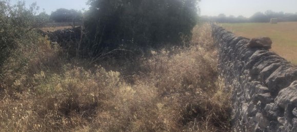 5 rooms House in Modica, Italy No. 159528 13