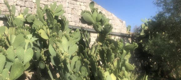 5 rooms House in Modica, Italy No. 159528 14