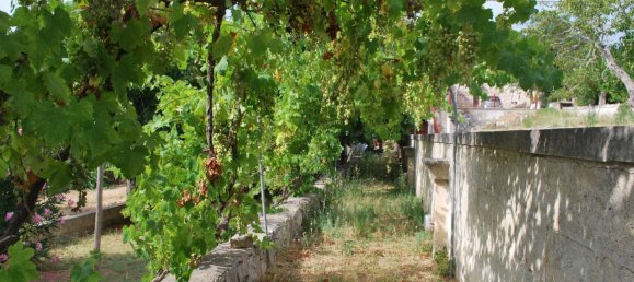 10-Zimmer Haus in Locorotondo, Italy, Nr. 270225 6