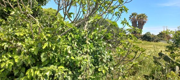 64m² Land in Faro, Portugal No. 63818 17