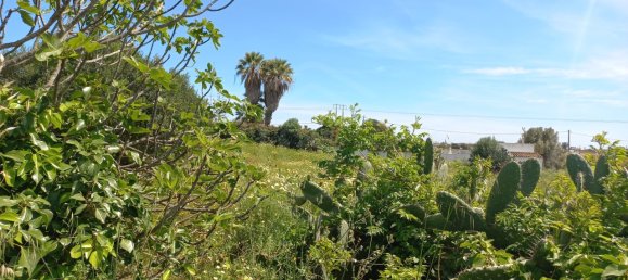 64m² Land in Faro, Portugal No. 63818 18