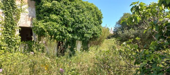 64m² Land in Faro, Portugal No. 63818 20