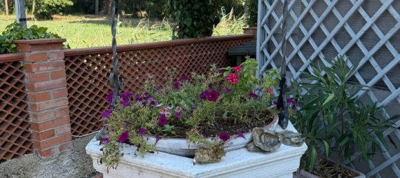 2 bedrooms Apartment in Rosignano Marittimo, Italy No. 338939 24