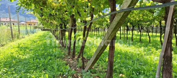 6 غرف نوم فيلا في Avio, Italy رقم 275670 7