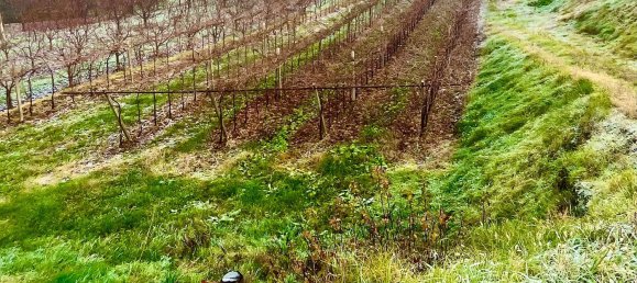 Terrain à Verona, Italy 18800m² No. 192943 2