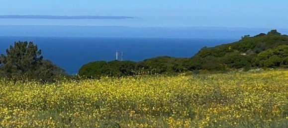  قطعة أرض في Sesimbra, Portugal 10400متر مربع رقم 275145 5