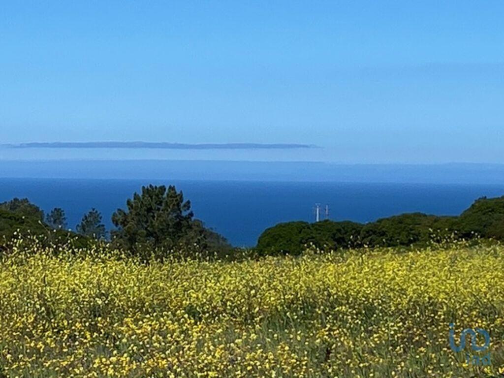  قطعة أرض في Sesimbra, Portugal 10400متر مربع رقم 275145
