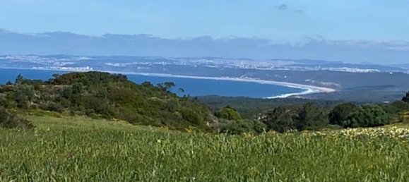  قطعة أرض في Sesimbra, Portugal 10400متر مربع رقم 275145 3