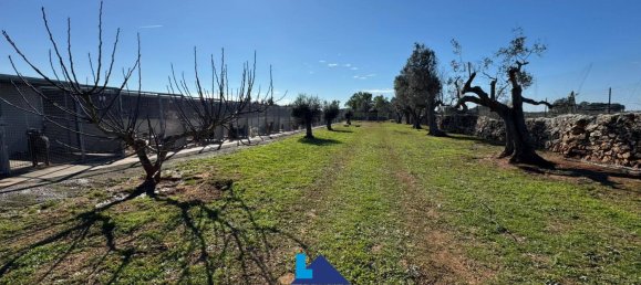 690m² Warehouse in Soleto, Italy No. 299995 20