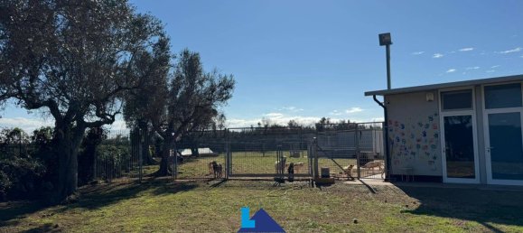 690m² Warehouse in Soleto, Italy No. 299995 5