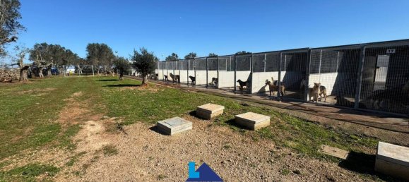 690m² Warehouse in Soleto, Italy No. 299995 16