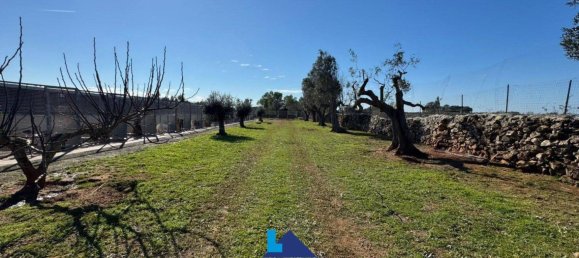 690m² Warehouse in Soleto, Italy No. 299995 10