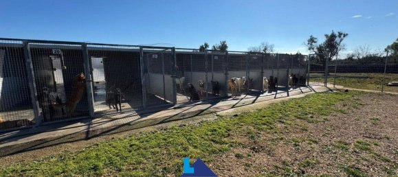 690m² Warehouse in Soleto, Italy No. 299995 11