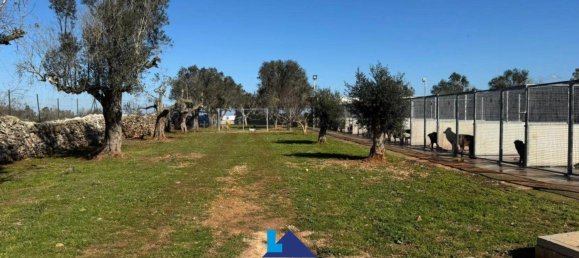 690m² Warehouse in Soleto, Italy No. 299995 9