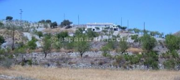 Земельный участок с 4 спальнями в Таберно, Испания № 7353 9