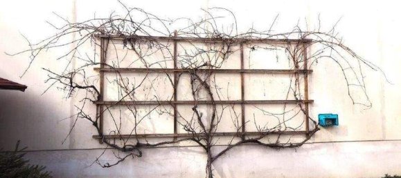 4 rooms House in Bruck an der Leitha, Austria No. 154419 3