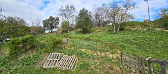 4 rooms House in Montecosaro, Italy No. 72876 14