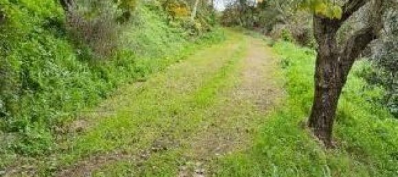 4 rooms House in Montecosaro, Italy No. 72876 18